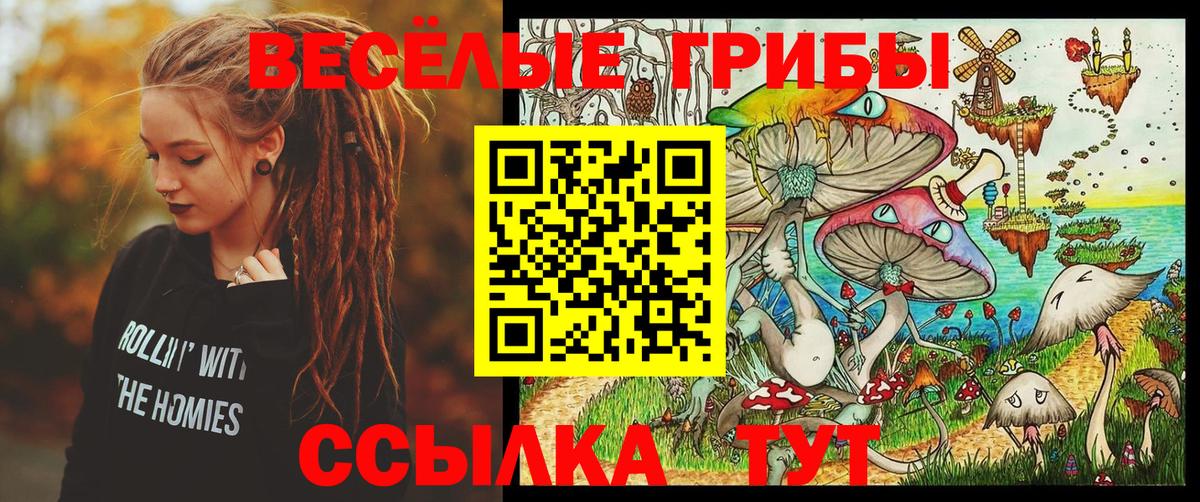 Псилоцибиновые грибы Cubensis Туймазы